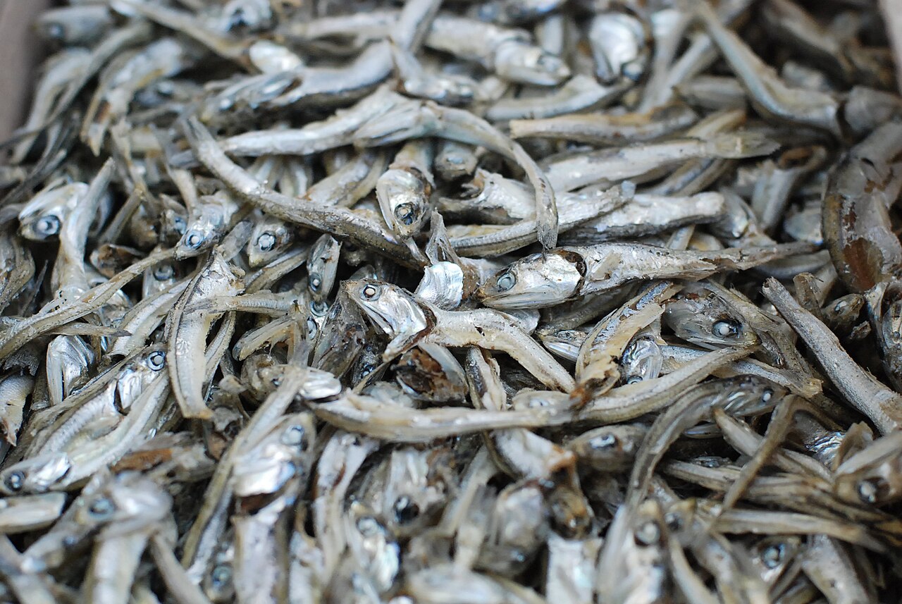 Dried myeolchi (anchovies)
